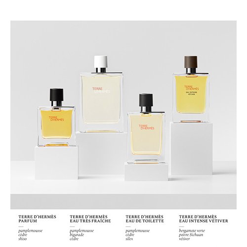 HERMÈS Terre d'Hermès - Deodorant Spray. 